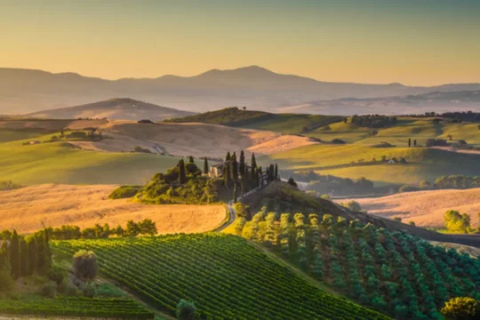 Rolling hills and vineyards with the sun setting