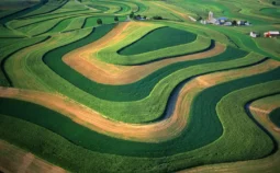 Rolling fields of crops