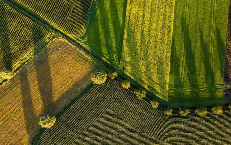 An overhead photo of green fields and trees