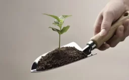 Hand holding a trowel which holds a plant shoot emerging from some soil