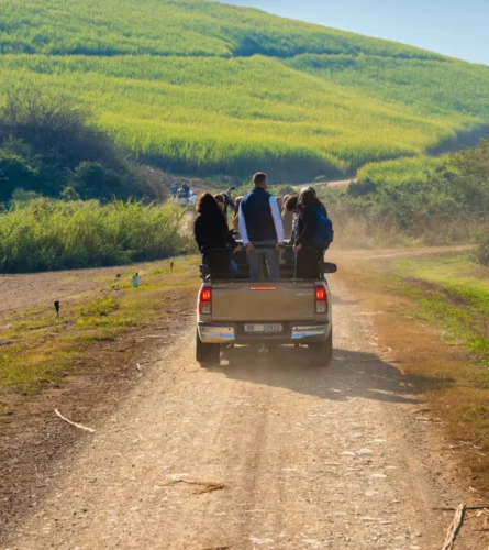 A group of people in the back of a pick-up truck driving down a dirt track