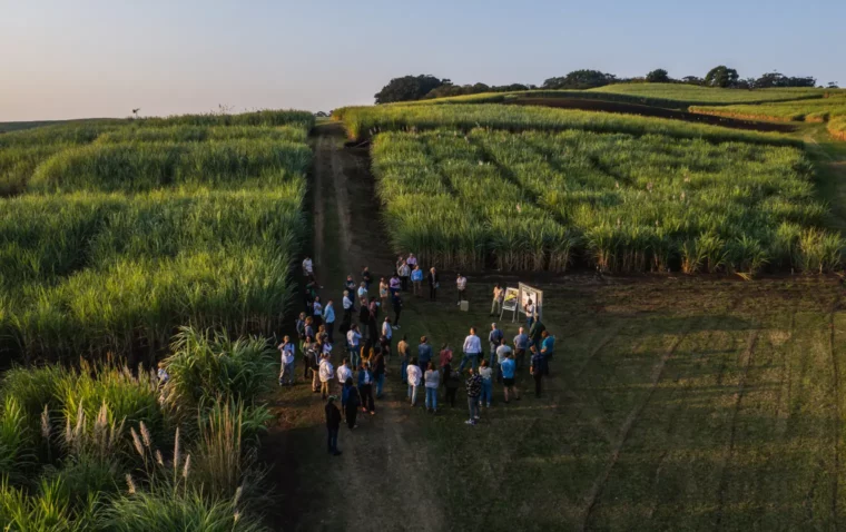 A group of SAI Platform members gathered in a field