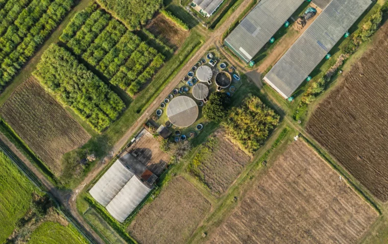 Overhead view of a dairy farm