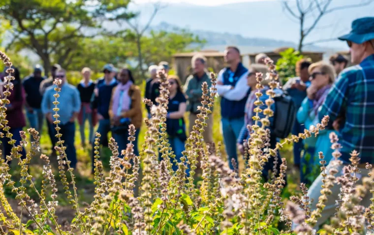 A group of SAI Platform members on a field trip