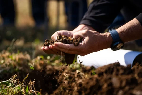 Person with a hand full of soil in a field