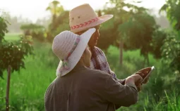 Two farmers in a field looking at an iPad