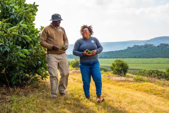 Two people walking through a field