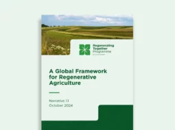 Cover of the Framework Narrative document
