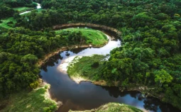 Overhead view of a river bend with trees on the river banks