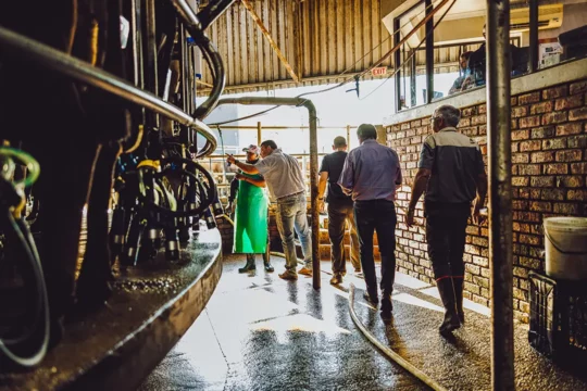 People on a tour of a dairy