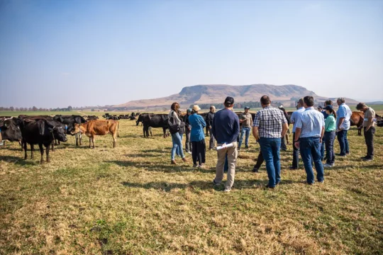 SAI Platform members on a field trip to a diary farm