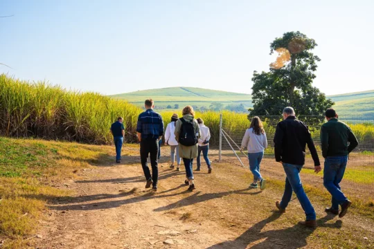 Group of SAI Platform members walking through a field